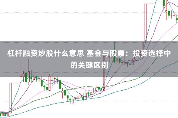 杠杆融资炒股什么意思 基金与股票：投资选择中的关键区别