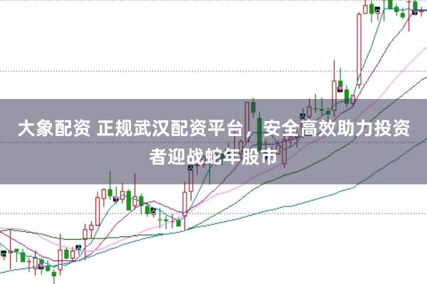 大象配资 正规武汉配资平台，安全高效助力投资者迎战蛇年股市