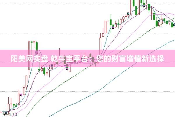 阳美网实盘 乾牛宝平台：您的财富增值新选择