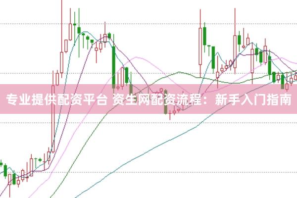 专业提供配资平台 资生网配资流程：新手入门指南