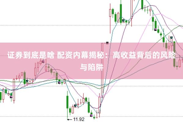 证券到底是啥 配资内幕揭秘：高收益背后的风险与陷阱