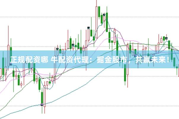正规配资哪 牛配资代理：掘金股市，共赢未来！