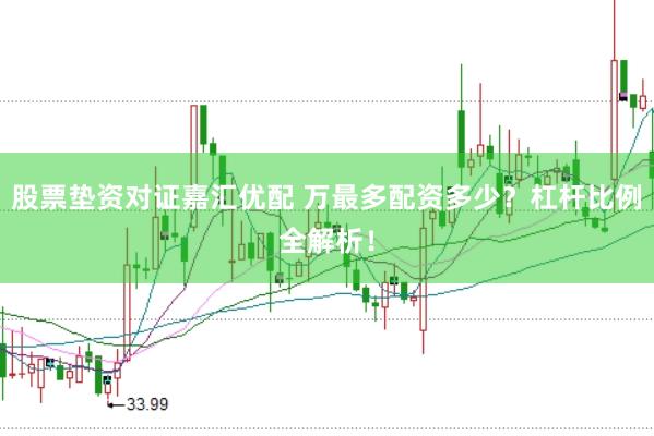 股票垫资对证嘉汇优配 万最多配资多少？杠杆比例全解析！