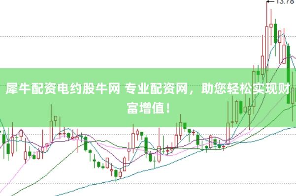 犀牛配资电约股牛网 专业配资网，助您轻松实现财富增值！