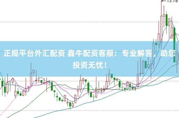 正规平台外汇配资 鑫牛配资客服：专业解答，助您投资无忧！