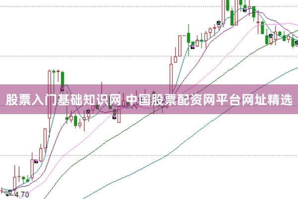 股票入门基础知识网 中国股票配资网平台网址精选
