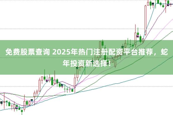免费股票查询 2025年热门注册配资平台推荐，蛇年投资新选择！