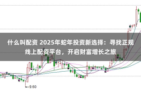 什么叫配资 2025年蛇年投资新选择：寻找正规线上配资平台，开启财富增长之旅