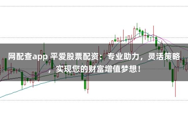 网配查app 平爱股票配资：专业助力，灵活策略，实现您的财富增值梦想！