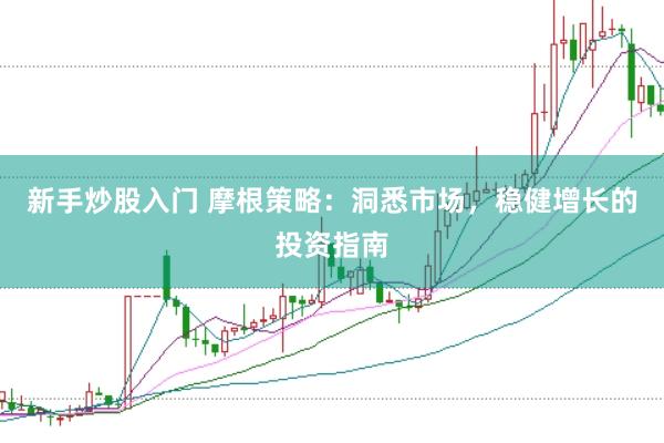 新手炒股入门 摩根策略：洞悉市场，稳健增长的投资指南