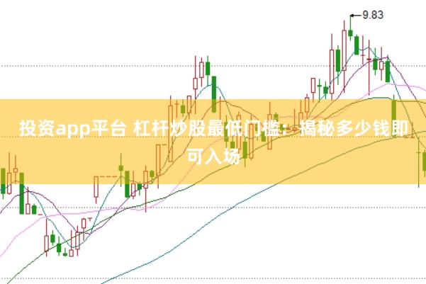 投资app平台 杠杆炒股最低门槛：揭秘多少钱即可入场