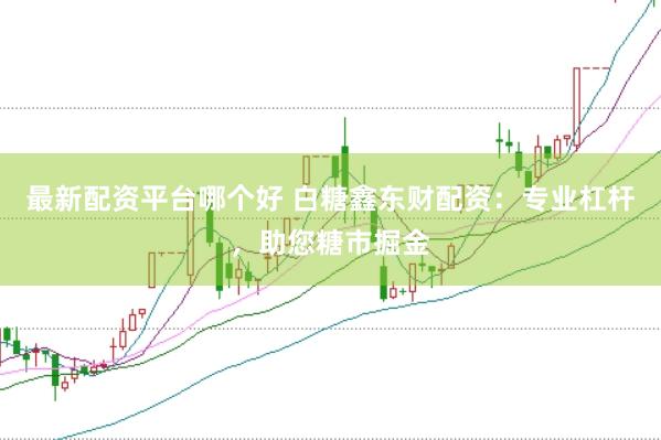 最新配资平台哪个好 白糖鑫东财配资:专业杠杆,助您糖市掘金