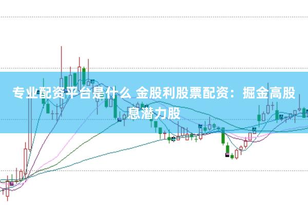 专业配资平台是什么 金股利股票配资:掘金高股息潜力股