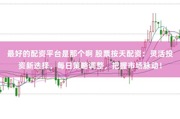 最好的配资平台是那个啊 股票按天配资：灵活投资新选择，每日策略调整，把握市场脉动！