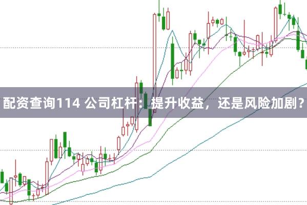 配资查询114 公司杠杆：提升收益，还是风险加剧？