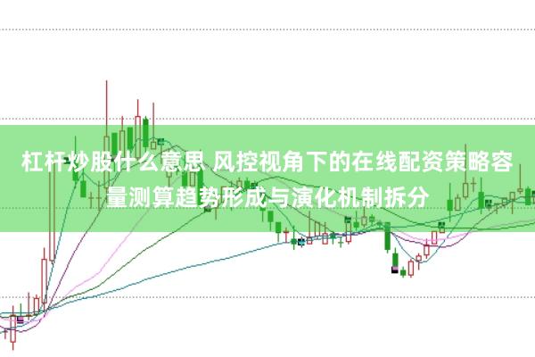 杠杆炒股什么意思 风控视角下的在线配资策略容量测算趋势形成与演化机制拆分