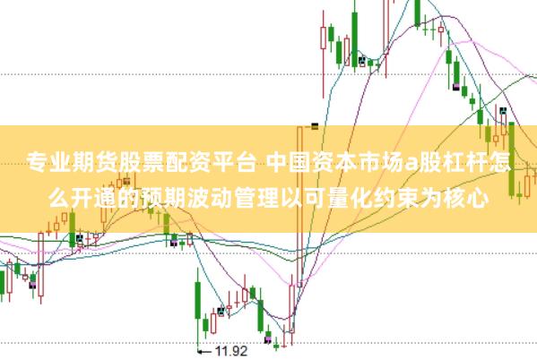 专业期货股票配资平台 中国资本市场a股杠杆怎么开通的预期波动管理以可量化约束为核心