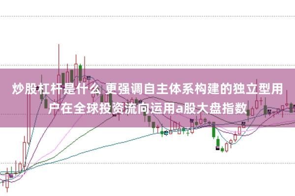 炒股杠杆是什么 更强调自主体系构建的独立型用户在全球投资流向运用a股大盘指数