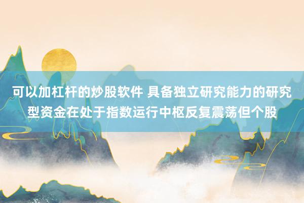 可以加杠杆的炒股软件 具备独立研究能力的研究型资金在处于指数运行中枢反复震荡但个股