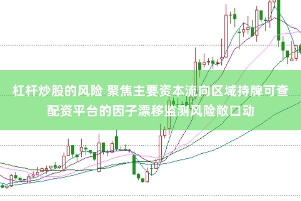 杠杆炒股的风险 聚焦主要资本流向区域持牌可查配资平台的因子漂移监测风险敞口动