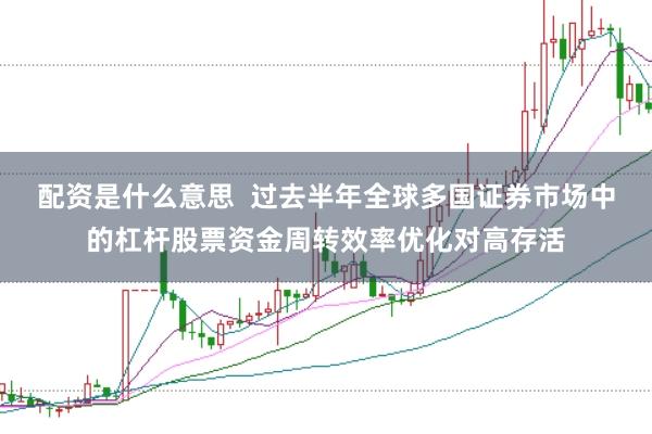 配资是什么意思  过去半年全球多国证券市场中的杠杆股票资金周转效率优化对高存活