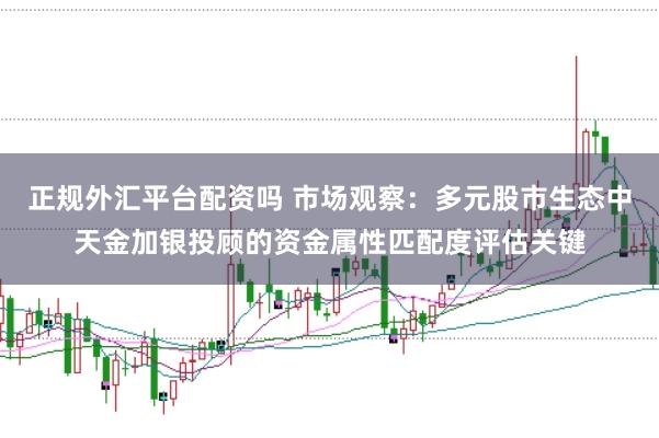 正规外汇平台配资吗 市场观察：多元股市生态中天金加银投顾的资金属性匹配度评估关键