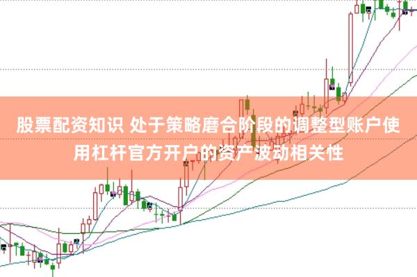 股票配资知识 处于策略磨合阶段的调整型账户使用杠杆官方开户的资产波动相关性