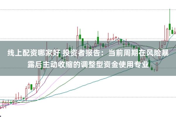 线上配资哪家好 投资者报告:当前周期在风险暴露后主动收缩的调整型资金使用专业