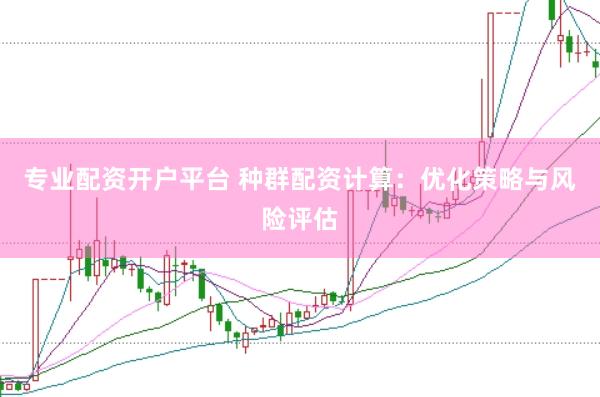 专业配资开户平台 种群配资计算:优化策略与风险评估
