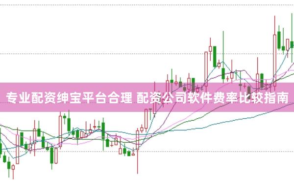 专业配资绅宝平台合理 配资公司软件费率比较指南