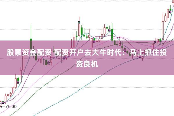 股票资金配资 配资开户去大牛时代:马上抓住投资良机