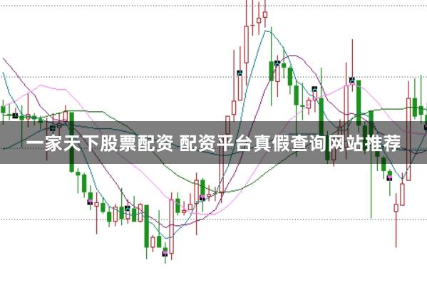 一家天下股票配资 配资平台真假查询网站推荐