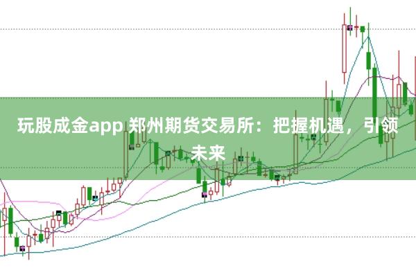 玩股成金app 郑州期货交易所：把握机遇，引领未来