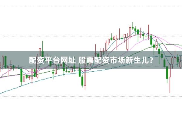 配资平台网址 股票配资市场新生儿？