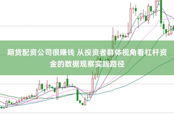 期货配资公司很赚钱 从投资者群体视角看杠杆资金的数据观察实践路径
